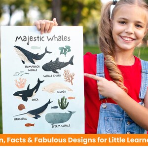 Decoración de pared con ballenas para guardería, decoración Montessori de ballenas marinas, póster educativo de ballenas para niñas y niños, póster educativo para la educación en casa