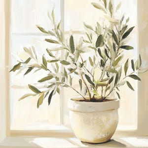 Image of a potted olive plant with soft green leaves sitting on a windowsill, bathed in warm natural light through white-paned glass.