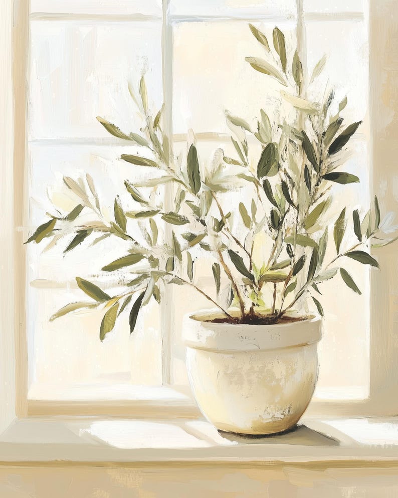 Image of a potted olive plant with soft green leaves sitting on a windowsill, bathed in warm natural light through white-paned glass.