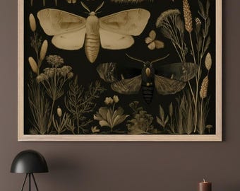 Moth Illustration Vintage Style Wall Art, Dark Academia Decor, Botanical Insect Print, Cottagecore Nature Poster, Antique Entomology Art
