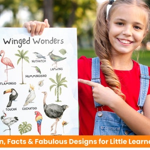 Vogel Poster, Montessori Vögel, Poster für Kinderzimmer, Vogel Raumdekoration, Vogel Wandbild