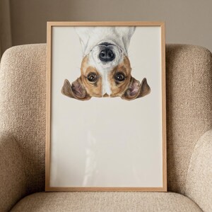 May include: A framed print of a Jack Russell Terrier, seen from below. The dog has brown and white markings, floppy ears, and a curious expression. The frame is light wood, and the background is a pale cream colour. A charming piece of pet-themed art.