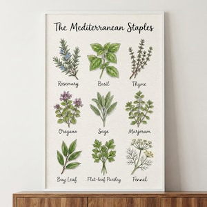 Framed botanical print titled “The Mediterranean Staples” featuring hand-drawn illustrations of classic Mediterranean herbs. Includes rosemary, basil, thyme, oregano, sage, marjoram, bay leaf, flat-leaf parsley, and fennel, each labeled with detailed plant depictions.