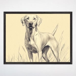 Hunting Dog Nursery Wall Art, Vintage Style Kids Room Poster, Labrador Retriever Canvas, Neutral Animal Art, Framed Nursery Decor