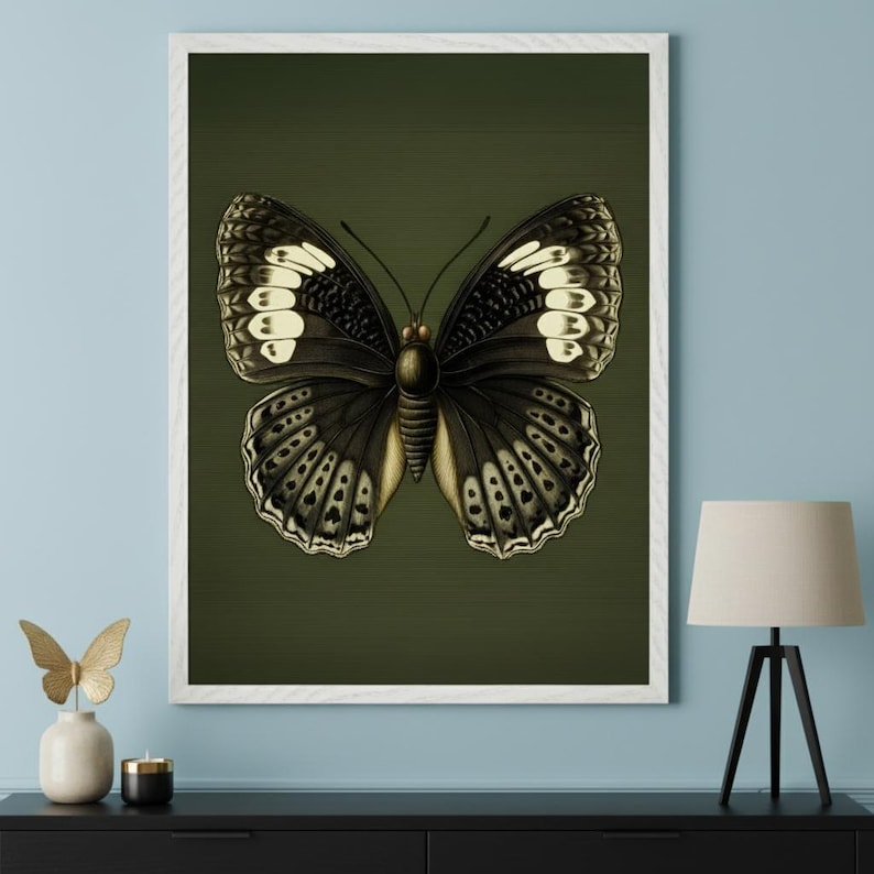 Vintage Butterfly Dark Green Background Wall Art, Scientific Insect ...