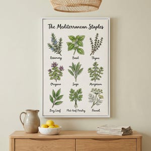 Wall art titled “The Mediterranean Staples” displayed above a wooden sideboard with lemons and a ceramic pitcher. The botanical chart showcases Mediterranean herbs such as rosemary, basil, and oregano, highlighting their culinary and visual appeal.