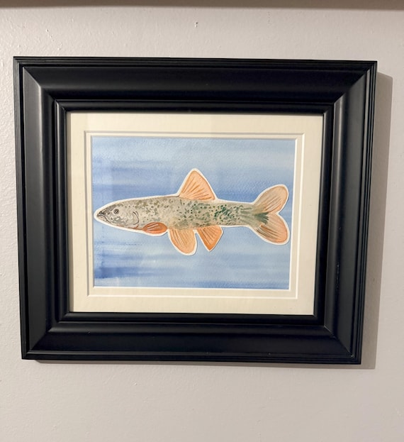 魚の水彩画額縁付き