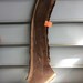 Live edge walnut slab