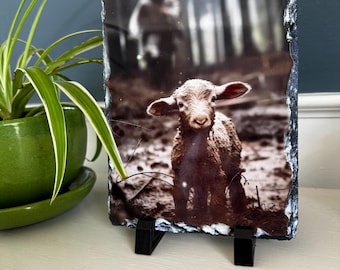 He left the 99 to rescue me, Jesus and the Lamb, Photo Slate, Religious Gift, Home decor, Stone Slate, Christian Decor, Christmas gift,