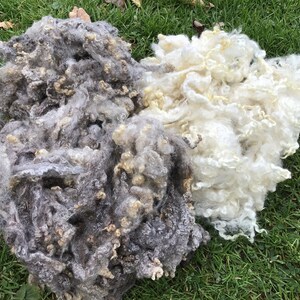May include: Two piles of sheep wool, one gray and one white, on a bed of green grass.
