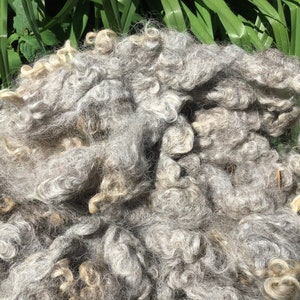 Gently Washed Wool - Gray