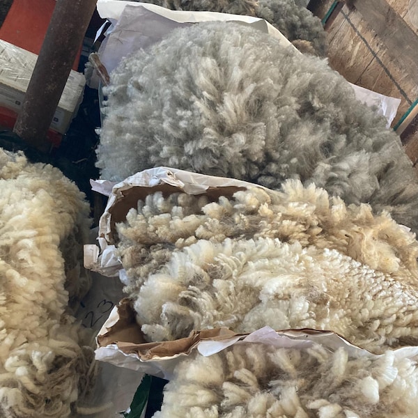 Raw Fleece