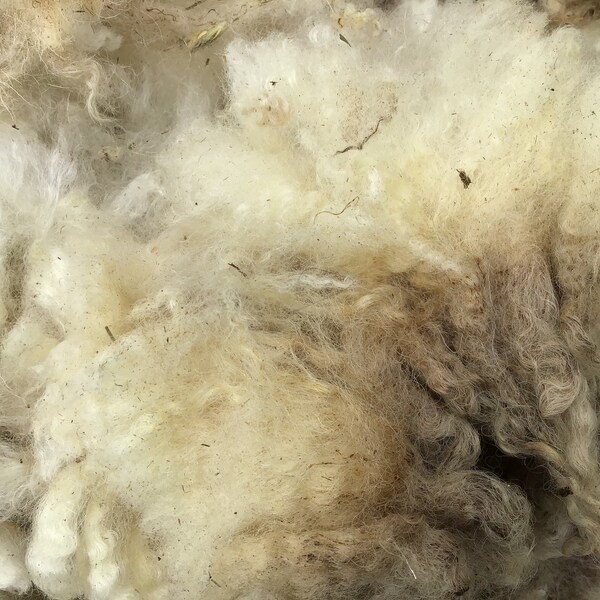 Raw Fleece