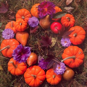 Tarjeta de felicitación de corona de otoño, Corona de otoño Feliz tarjeta de Acción de Gracias, cosecha natural con dalias y calabazas, manzanas y peras, fotografiada