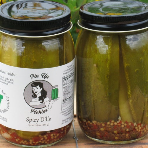 Devious Dills DIY Pickle Kit Pin up Pickles Do It Yourself Etsy