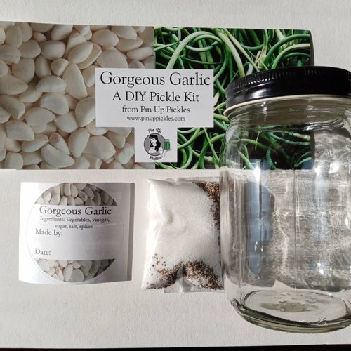 Devious Dills DIY Pickle Kit Pin up Pickles Do It Yourself Etsy