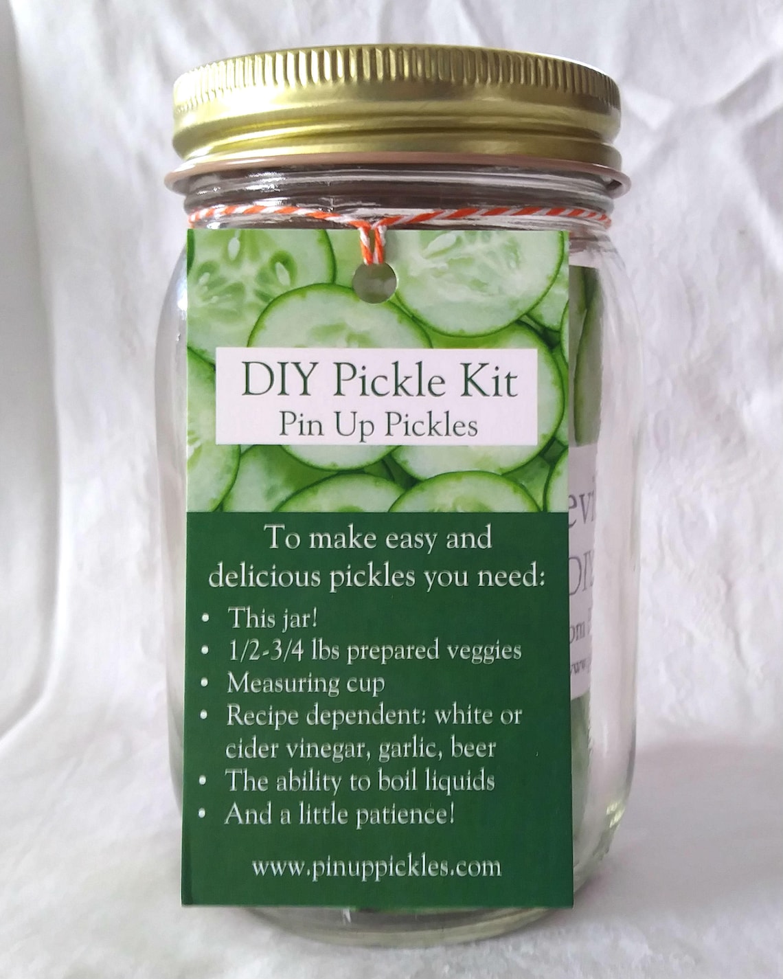 Devious Dills DIY Pickle Kit Pin up Pickles Do It Yourself Etsy