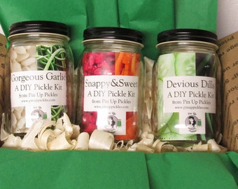 DIY Pickle Kit Trio. Pin Up Pickles, best selling, Do it yourself kit, homemade pickles, gift for kids, gift for friend, gift for foodie