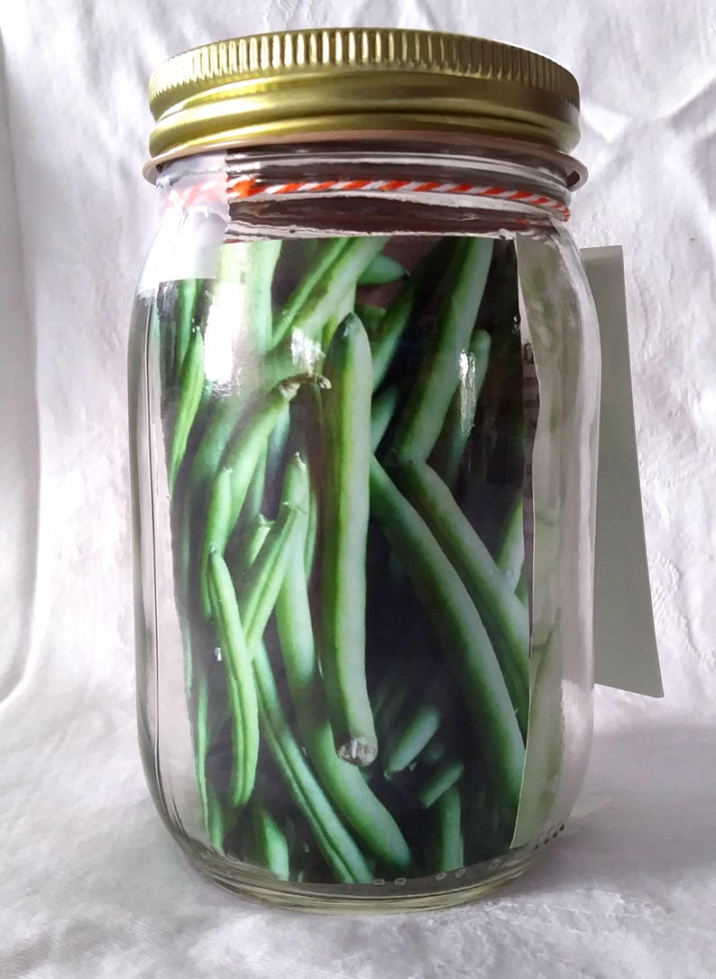 Devious Dills DIY Pickle Kit Pin Up Pickles Etsy