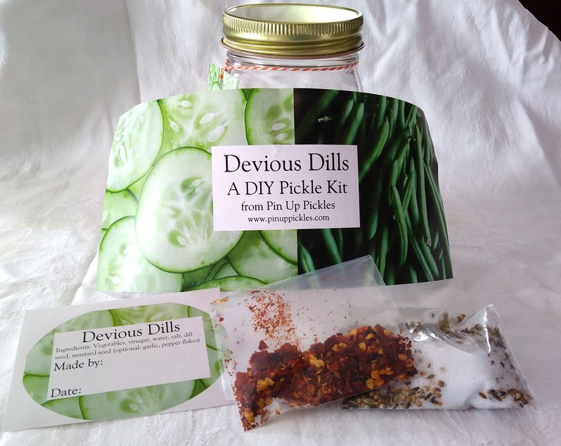 Devious Dills DIY Pickle Kit Pin Up Pickles Etsy