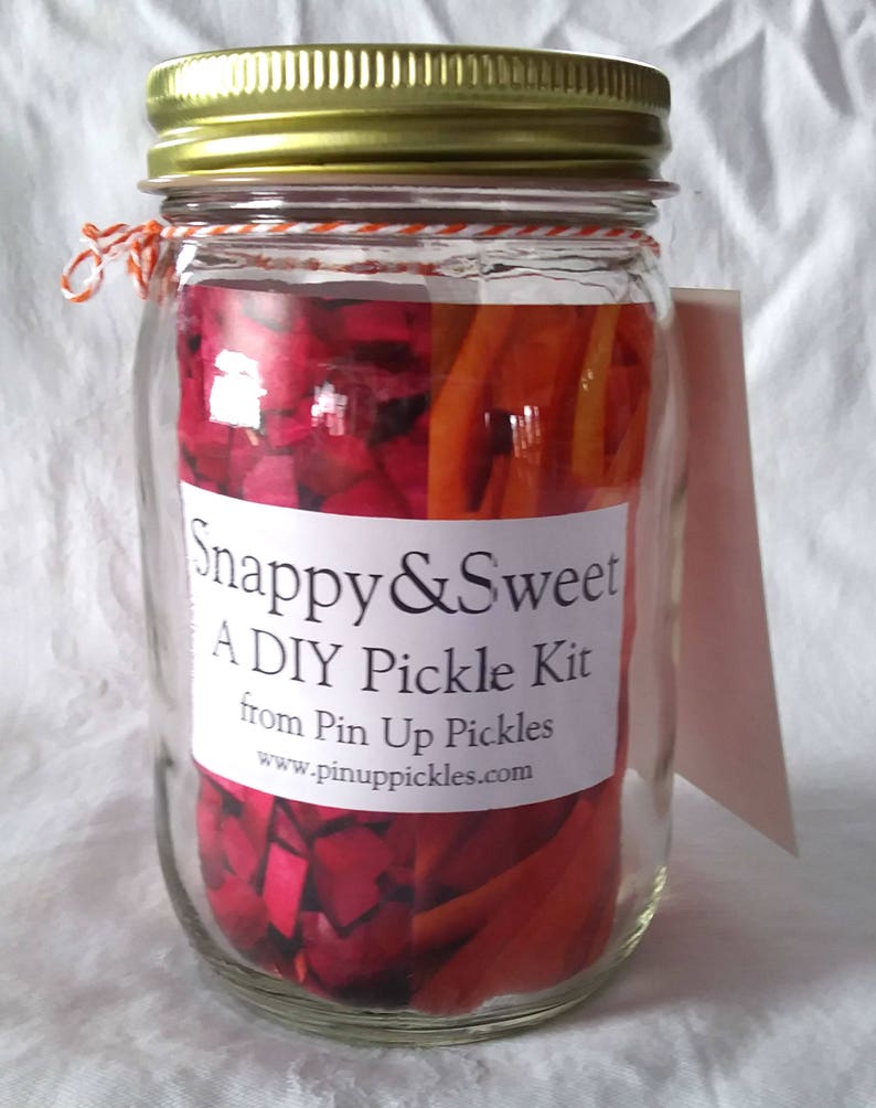 Snappy&Sweet DIY Pickle Kit Pin Up Pickles Etsy