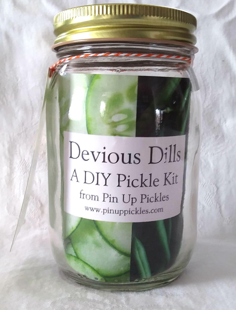 Devious Dills DIY Pickle Kit Pin Up Pickles Etsy