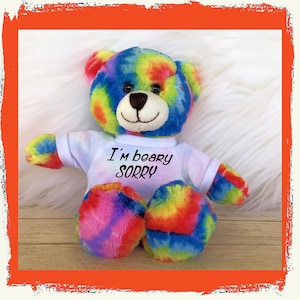 Tell Someone you are sorry Tie Dye Teddy bear wearing a t-shirt &quot;I&#39;m beary Sorry&quot; Gift for boyfriend girlfriend, BFF, Rainbow bear,