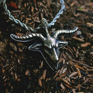 May include: A silver chain necklace with a detailed silver pendant of a goat skull with horns. The necklace is lying on a bed of brown mulch.