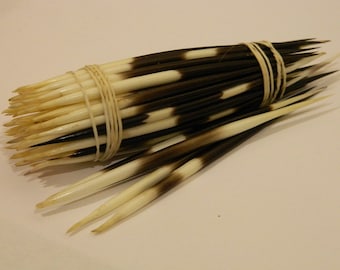 2/5 Small African Porcupine Quills - Black & White Craft Sized Real Africa Porcupine Quills; Jewelry Making, Scrap Booking Craft Projects #9