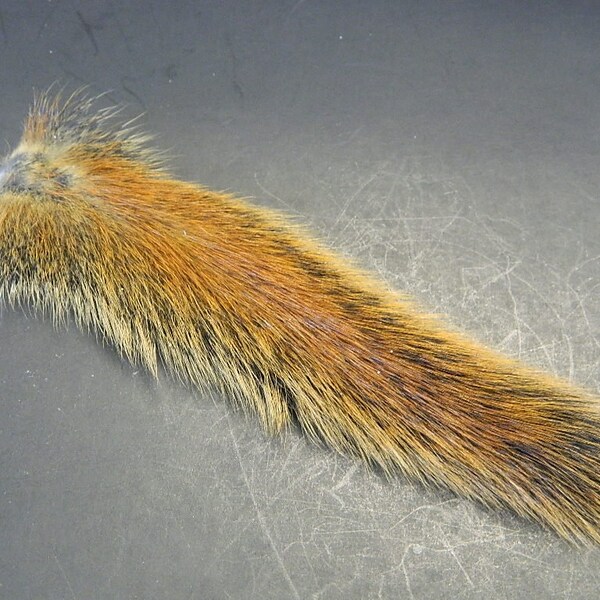 Squirrel Tails - Etsy