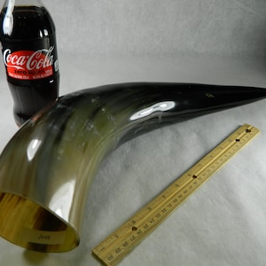 Polished Bull Horn: Large Viking Ale Horn, Cosplay Prop (12-16 Inches)