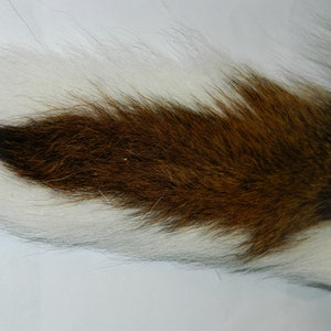 Dried #1 Quality L White Tail Deer Tail - Raw Fur White Tail Deer Tail Craft Supplies Taxidermy DIY Fur - 1 Per Pack - #4