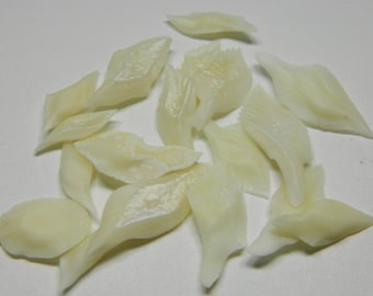 20 Ivory Alligator Gar Scales: Ganoid Fish Scale Craft Supply