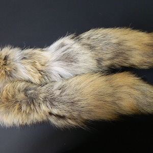 Dressed #1 Quality Midwest Coyote Fur Tail - Dressed Fur Coyote Tail Craft Supplies DIY Fur - Dried Dressed Fur Tails - 1 Per Pack #47