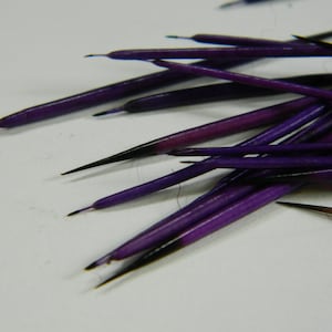 10/25 Purple Dyed North American Porcupine Quills - Craft Sized Real Porcupine Quills; Jewelry Making, Scrap Booking, Craft Projects #28