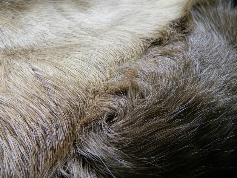 Real Natural Reindeer Fur Hide Professionally Tanned and Ready For Crafts or Decor RD03 White Brown Tanned Reindeer Half Hide From Finland