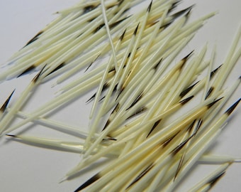 10/25 North American Porcupine Quills - Craft Sized Real Porcupine Quills; Jewelry Making, Scrap Booking, Craft Projects #83