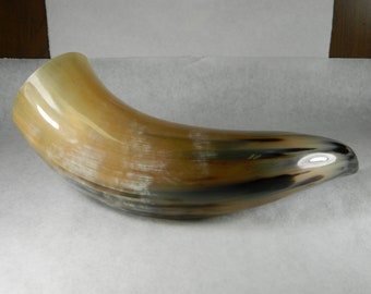 XL Drinking Bull Horn Polished & Sanitized -  Bull Cow Drinking Ale Horn or For Decor Crafts, Craft Projects, CosPlay - Bull Horn ZQ83