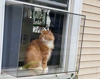 Cat on sale window box