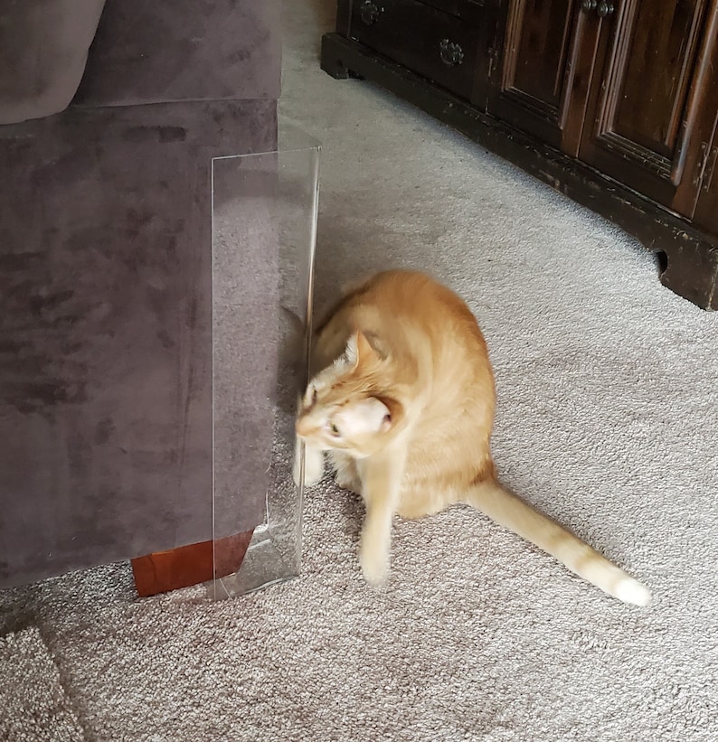20 Cat Scratch Guard for Furniture the Kitty Etsy