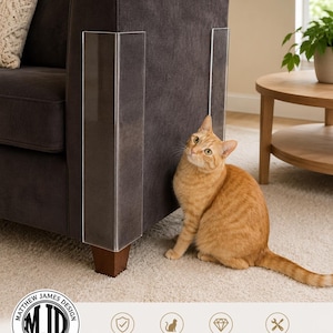 Puede incluir: Un juego de dos protectores de muebles de acr&iacute;lico transparente fijados en la esquina de un sof&aacute; gris oscuro. Los protectores son transparentes, rectangulares y r&iacute;gidos, dise&ntilde;ados para cubrir el borde. Un gato atigrado naranja est&aacute; sentado al lado.