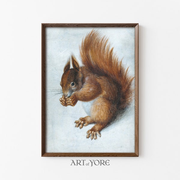 Red Squirrel Eating A Nut | Vintage Waterclour | Woodland Creature Print | Cottagecore Wall Decor | Cute Animal Farmhouse Art