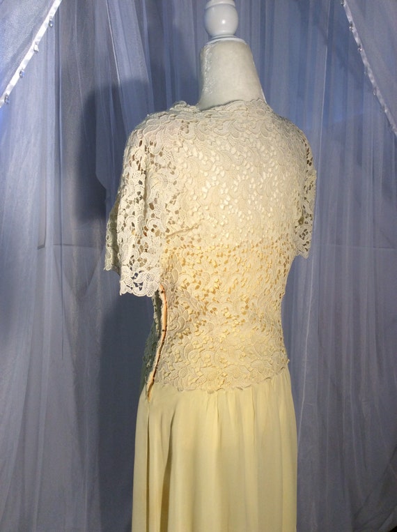 Vintage 1950’s, pale yellow chiffon and Guipure e… - image 8