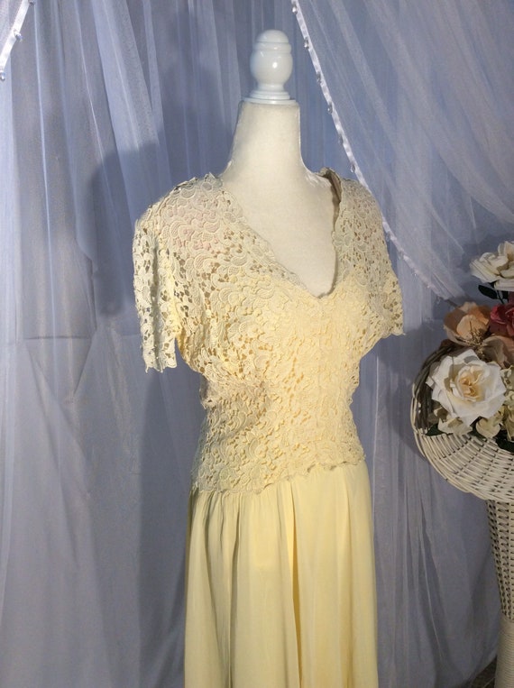 Vintage 1950’s, pale yellow chiffon and Guipure e… - image 4