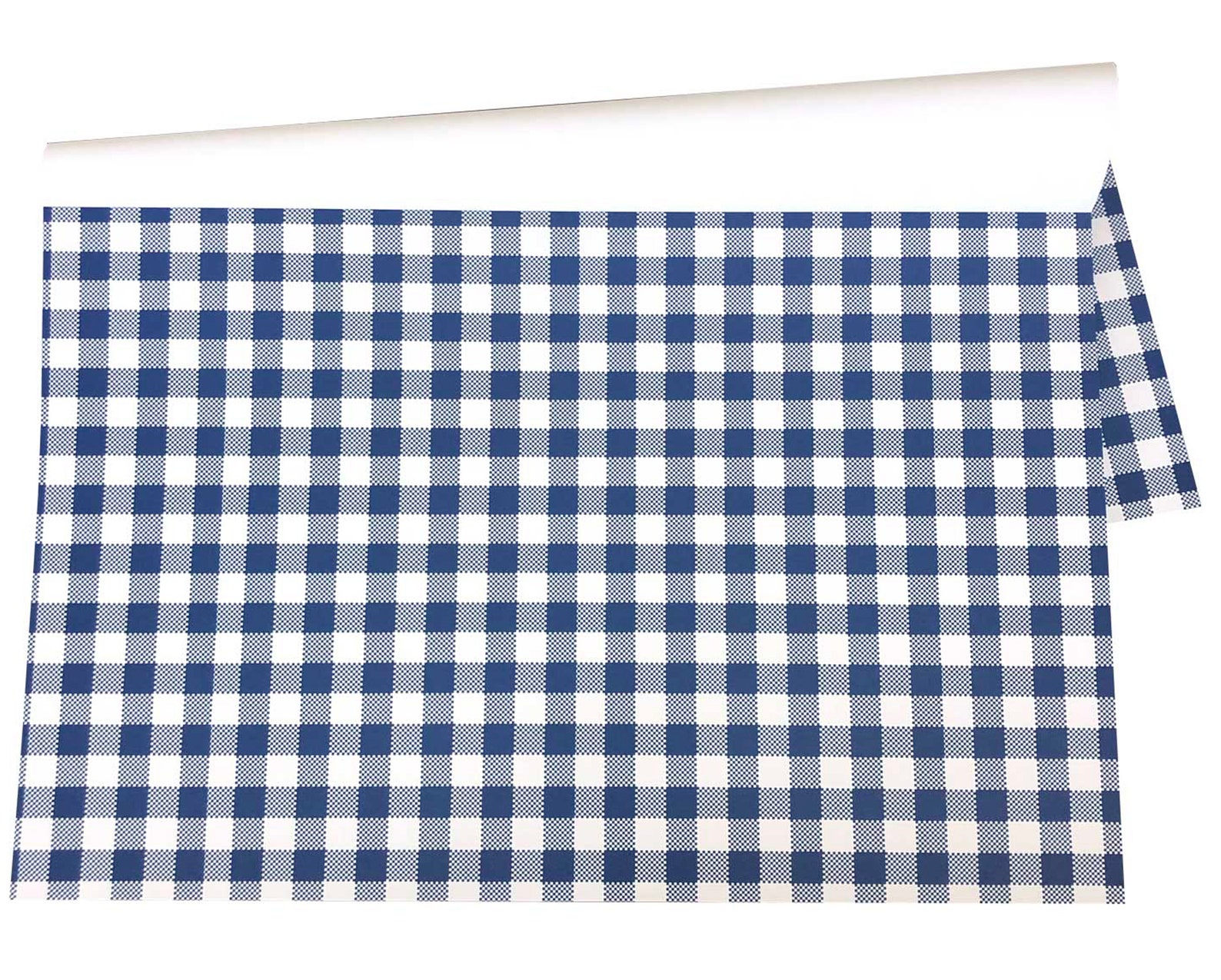 Blue Gingham Paper Placemats Pad of 25 Etsy