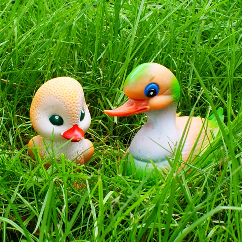 funny duck toy