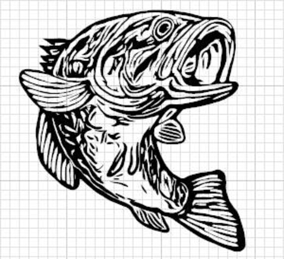 Download Bass Fish Svg Etsy
