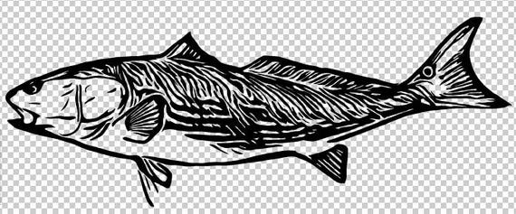 Download Redfish Svg Etsy