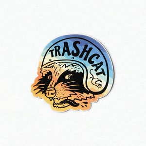 Puede incluir: Una pegatina colorida con un mapache que lleva un casco con el texto "Trashcat Co."