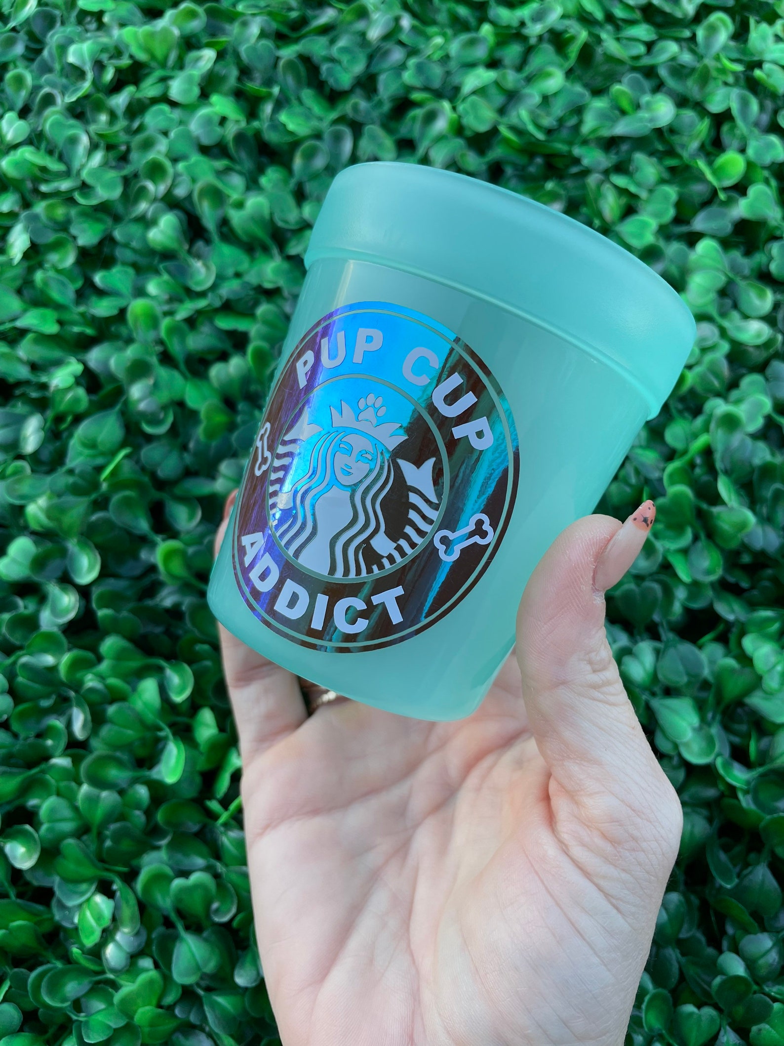 Starbucks Reusable Pup Cup 8 Oz Starbucks Puppucino Mint Etsy